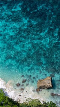 MANTA RAY OVER THE CLIFF [NUSA PENIDA  INDONESIA] wallpaper